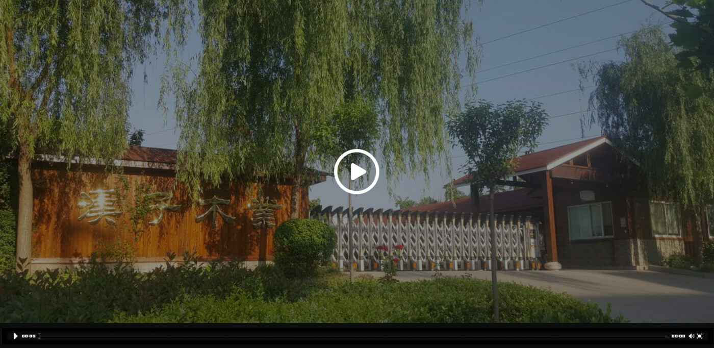 沈阳睿诚远程教育平台有限公司